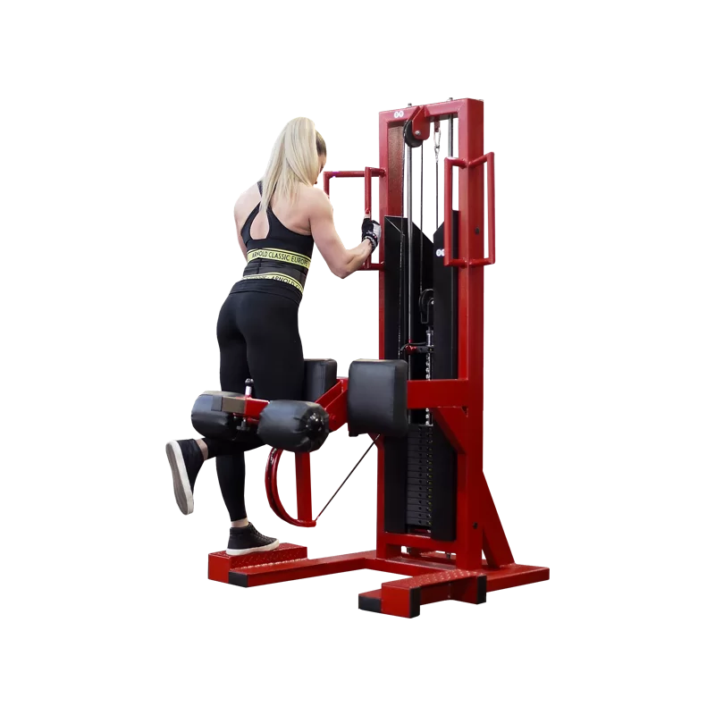 gjsajdjasjashbetjasbcjhbash